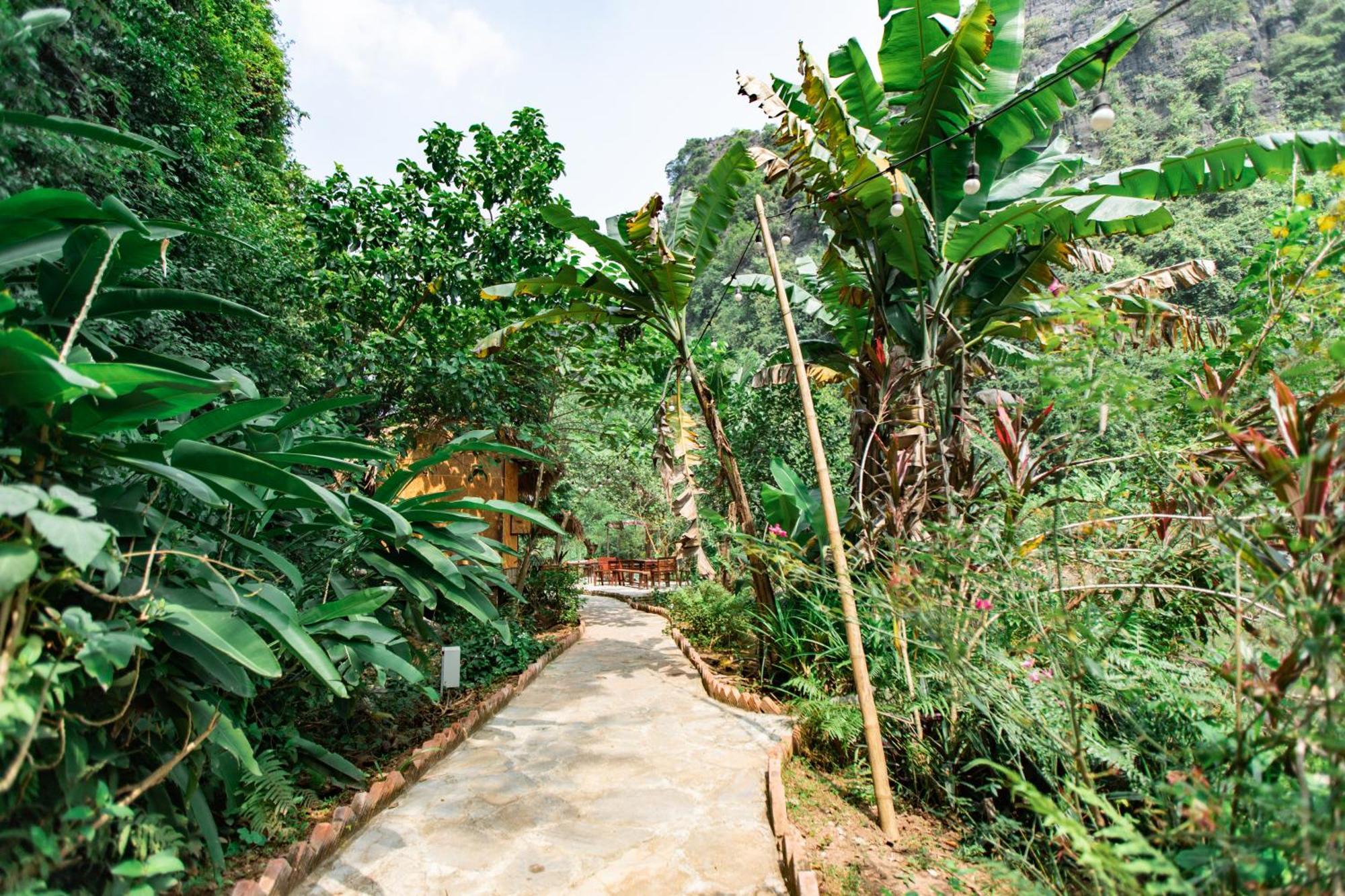 Thung Sen Tam Coc Chalets Ninh Bình Ngoại thất bức ảnh